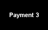 Payment Icon 3